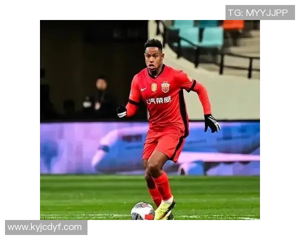 成都蓉城引进前海港外援后腰茹萨加强中场实力助力新赛季